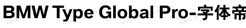 BMW Type Global Pro字体转换 BMW Type Global Pro字体转换